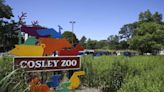 Park district: No taxpayer dollars will be spent to expand Cosley Zoo parking