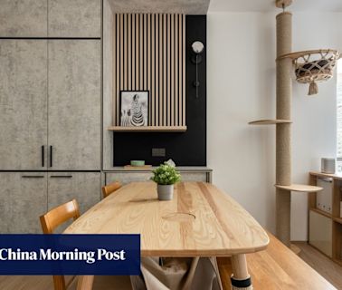 This Hong Kong home is minimalist, open-plan – and perfect for cats