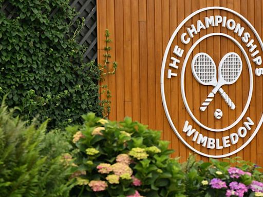 Wimbledon Tennis Championships 2024: Scores, results, final start time, winners, TV channel, live stream