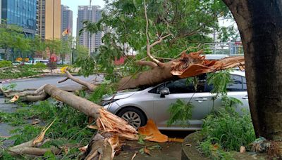 Heavy rainstorms kill 4 people in southern China. Ten others are missing