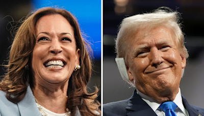 Kamala Harris only leads Donald Trump in one battleground state: Poll