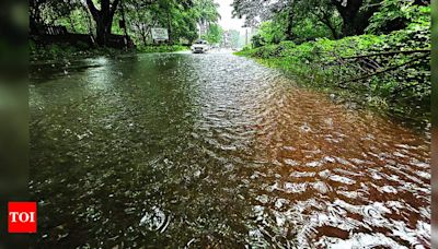 Valpoi crosses 3,000mm rainfall mark, orange alert to continue until July 25 | Goa News - Times of India