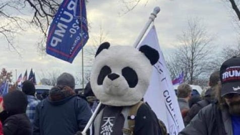 Florida man dubbed 'Sedition Panda' seen in Jan. 6, 2021 riot photos
