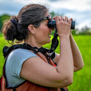 In Cornwall, newly conserved grasslands are for the birds