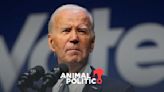 Biden ignora las presiones y prevé retomar la campaña electoral la próxima semana