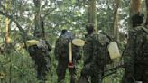 RDC: les bataillons «Jungle», des spécialistes du combat en forêt équatoriale formés par la France