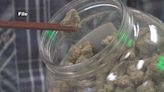 Fees for medical marijuana operators in SD doubling