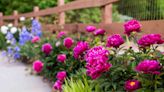 5 Flower Gardening Trends Pros Are Loving in 2024