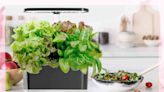 This Popular Hydroponic Garden That Grows 'Fresh Herbs All Year Long' Is 52% Off Right Now