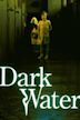 Dark Water (2002 film)