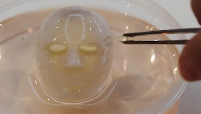 Say cheese: Japanese scientists make robot face 'smile' with living skin