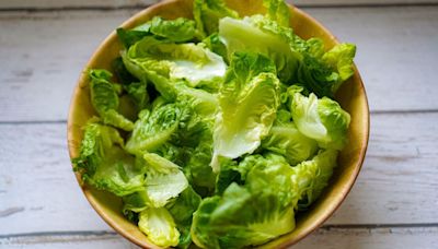 Lettuce stays crispy and fresh for 4 weeks longer with pro's correct storage tip