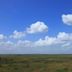 Paynes Prairie Preserve State Park