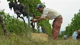 Así desarrolla Japón una economía favorable para la naturaleza