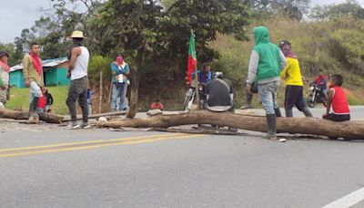 Se registra nuevo bloqueo en vía Panamericana en el sur del Cauca