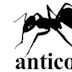 Anticon