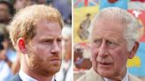 Prince Harry Was Reportedly 'Cut Off' Financially By King Charles After Accusing Palace Aide's Partner Of Leaking Stories