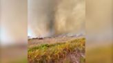 Wind creates twisting 'firenado' as heatwave sweeps across France