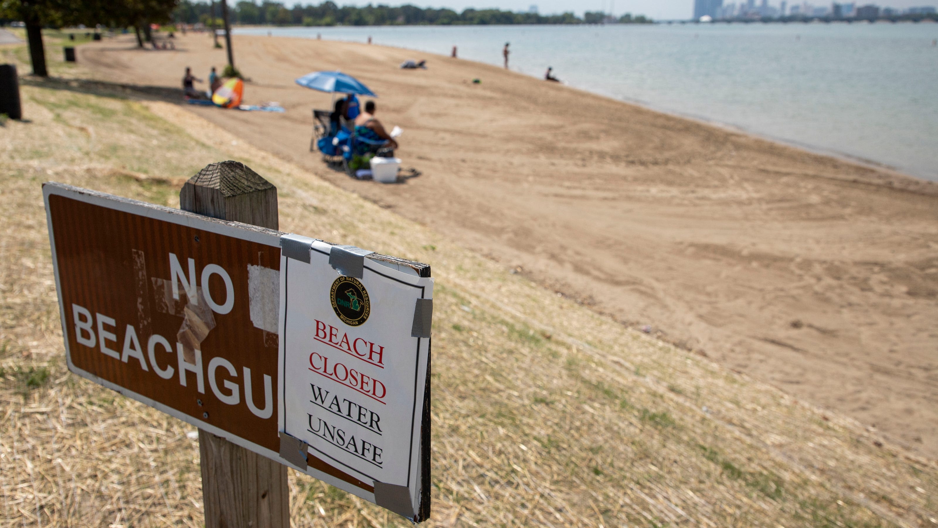 Detroit's Belle Isle Beach closed for high E. coli, again