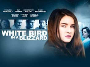 White Bird in a Blizzard