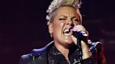 Fans Bombard Pink’s Instagram With Emotional Comments About Her New “Powerful Song”