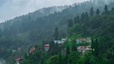 Cooking in the clouds: Embracing the monsoon bounty in Takdah, Darjeeling