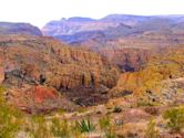 Tonto National Forest