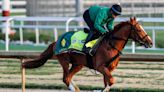 Preakness Stakes 2024 predictions, betting odds: Win, place, show, exacta, superfecta expert picks