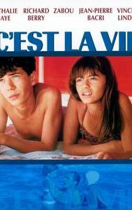 C'est la vie (1990 film)