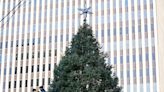Fountain Square holiday tree to light up downtown Cincinnati tonight