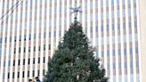 Here's how to reuse or recycle your Christmas tree after the holidays around Greater Cincinnati