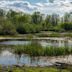 Jackson Bottom Wetlands Preserve