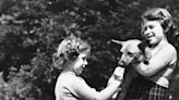 Queen Elizabeth had so many corgi dogs, Princess Diana reportedly called them 'a moving carpet'