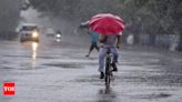 Heavy rains continue in Kerala, IMD issues red alert in two districts | Kozhikode News - Times of India