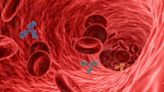 Researchers use waves to quantify blood vessels' architecture