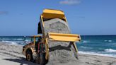 'Positive trends': Palm Beach's shoreline will continue to accumulate sand, consultant says