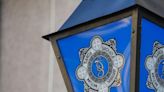 Over €330,000 of cannabis seized and two men arrested after drugs search in Cavan