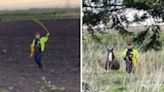 Quick-thinking police officer catches galloping horse with lasso