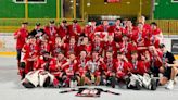 Team Canada rises above racist comment, wins world ball hockey championship | Globalnews.ca