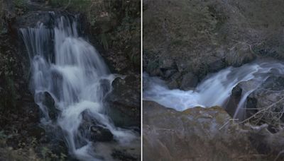 De arroyos, bosques y torrentes: Javier Vallhonrat retrata el salvaje y frágil territorio de La Granja de San Ildefonso