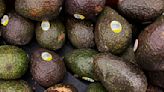 U.S. halts avocado inspections in Mexican state after USDA workers attacked