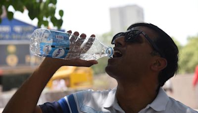 Curioseando sobre los golpes de calor