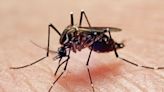 Southwest Side mosquito pool tests positive for West Nile Virus