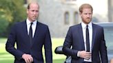 Prince William and Harry’s relationship at an ‘all-time low,’ says royal expert