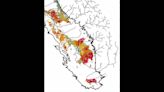 Stanford study shows where groundwater recharge is uplifting sunken ground in California