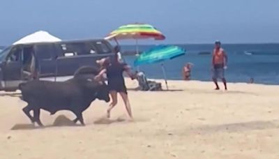 Terror en la arena: brutal e inesperado ataque de un toro a una mujer en una playa mejicana