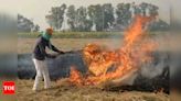 ‘PAU recommended burning of paddy stubble due to diseases' NGOs argue before NGT | Chandigarh News - Times of India