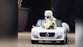 Dapper Cat Upstages Everyone With His Grand Entrance At Parents' Wedding