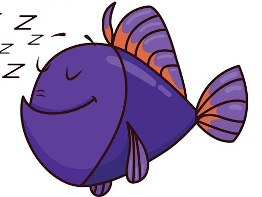 Do Fish Sleep? They Have to ... Right?