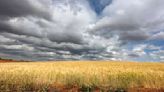 Gobierno de Castilla-La Mancha, UPA y ASAJA firman un acuerdo para gestionar las Zonas de Especial Protección para las Aves Esteparias (ZEPA)